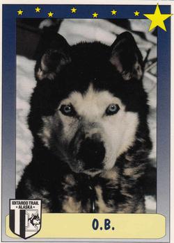 1992 MotorArt Iditarod Sled Dog Race #90 O.B. Front